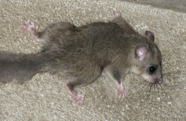 7schlaefer.jpg © Michael Hanselmann