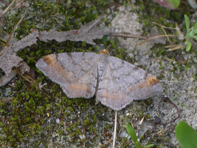 Gerimpelde spanner.jpg © Vermeer at Dutch Wikipedia